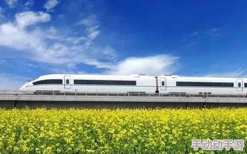 晨曦列车全面攻略：高效追求景辰的实用技巧与策略解析