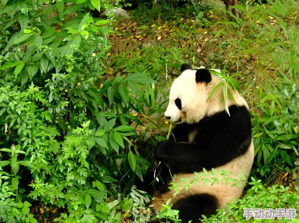 扒开美女屁股:最新动态揭示社交媒体上流行的奇特现象,引发网友热议与讨论,关注度持续攀升 扒开美女屁股:最新动态揭示社交媒体上流行的奇特现象,引发网友热议与讨论,关注度持续攀升