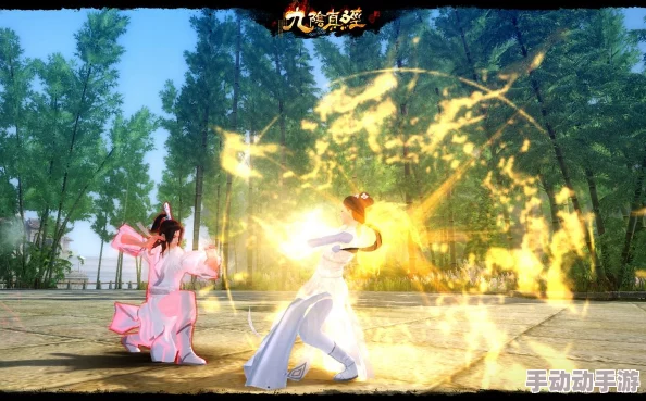 救赎之地丽英雄高效连招技巧：全面掌握丽的技能组合攻略