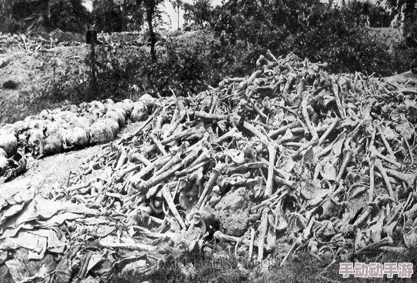 心灵战争游戏预约地址全面一览及激活码高效获得方法指南 心灵战争游戏预约地址全面一览及激活码高效获得方法指南