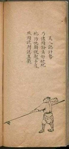 江湖求生攻略：杨家枪秘籍选择指南与实战技巧解析