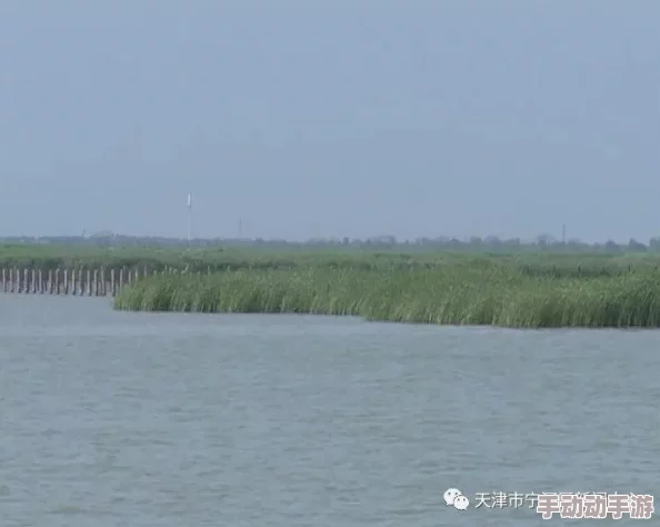 探索一级网站片的魅力与价值：如何选择优质内容提升用户体验