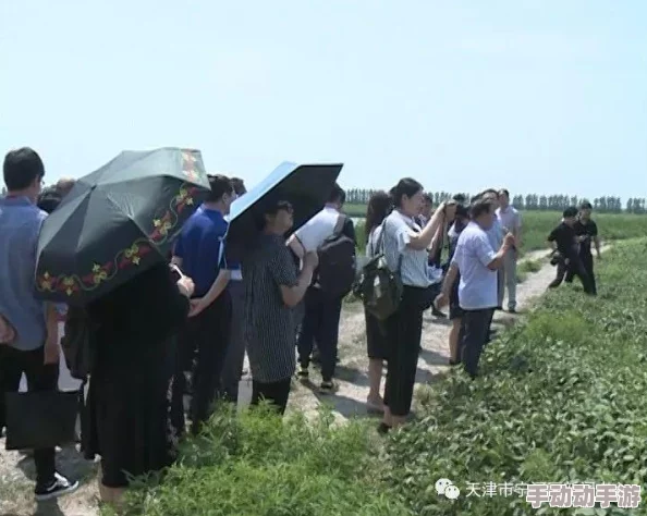 探索一级网站片的魅力与价值：如何选择优质内容提升用户体验