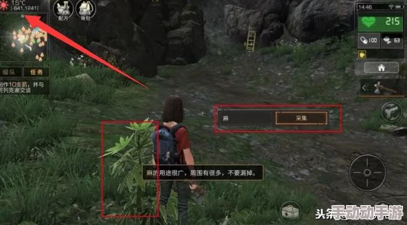 明日之后游戏指南：如何查看宠物技能及具体查看位置详解