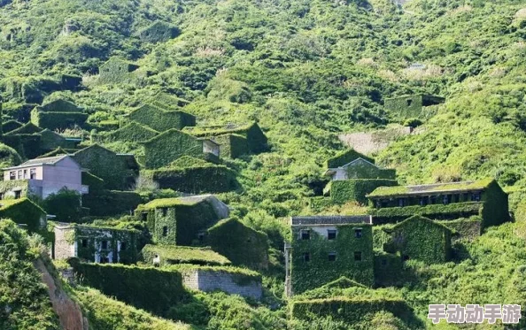 探索全部免费特黄特色大片农村，感受乡村生活的独特魅力与风情