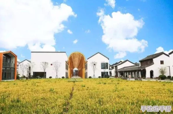 探索全部免费特黄特色大片农村，感受乡村生活的独特魅力与风情