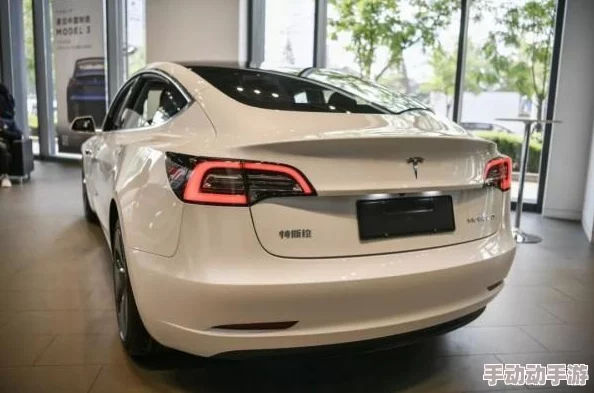 国产无套免费网站最新进展：新平台上线，用户体验大幅提升，内容丰富多样化，吸引更多年轻用户加入