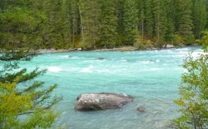 免费精品美女久久久久久久久：最新动态揭示了行业内的变化与趋势，吸引了众多用户的关注与参与