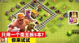 风云岛行动：高效寻找菠萝小乌龟技巧，助你轻松获取珍稀菠萝甲装备