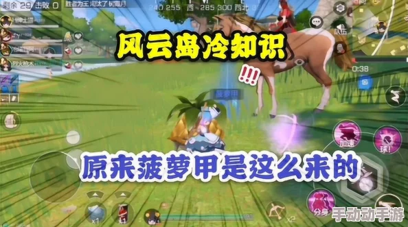 风云岛行动：高效寻找菠萝小乌龟技巧，助你轻松获取珍稀菠萝甲装备