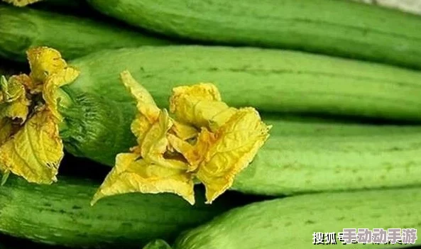 丝瓜草莓2024：全球首创超级水果誕生，营养价值翻倍，引发市场热潮和消费者疯狂追捧！