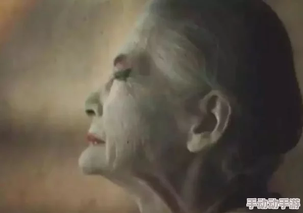 在岁月的阴影下，糟蹋与蹂躏交织的老妇人生故事
