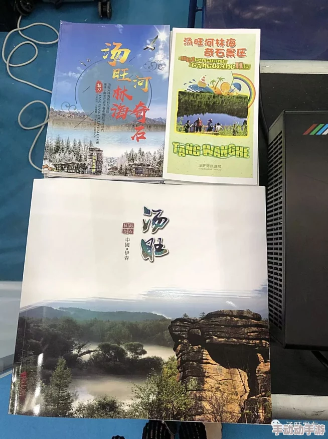 探索国产一区亚洲二区的独特魅力与文化交融之旅 探索国产一区亚洲二区的独特魅力与文化交融之旅