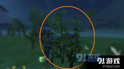 创造与魔法游戏青椒分布位置全览及青椒实用功能详解