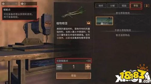 明日之后游戏攻略：麻材料高效获取方法全面介绍与解析