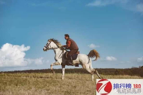 单挑荒野生存技巧：遇到野狼时的安全驱赶与自救策略
