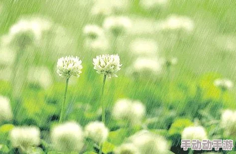 绝地求生刺激战场多云模式全面攻略：深度解析多变天气下的玩法技巧