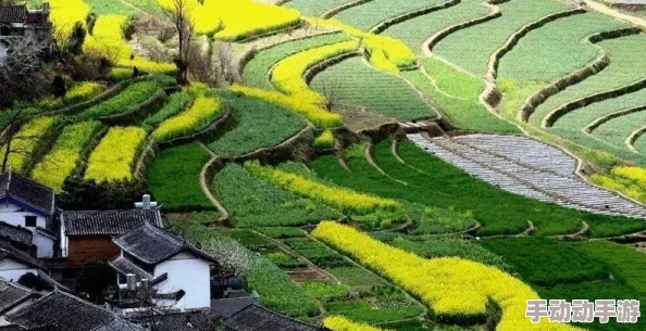 《做爰直播全过程在线观看》最新动态：该平台近期推出新功能，提升用户体验，吸引更多观众参与互动