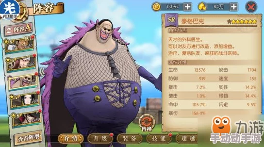 航海王燃烧意志35级大嘴怪高效击杀策略：采用竖排221阵型技巧详解