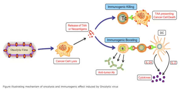 中国china体内谢o精：最新研究揭示生物技术在细胞再生中的突破性进展，引发全球科学界关注与讨论