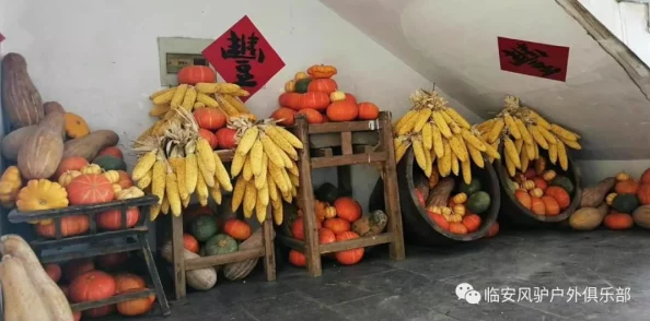 9久9久女女热精品视频免费观看：最新动态展示了该平台的丰富内容和用户互动，吸引了大量观众关注与参与