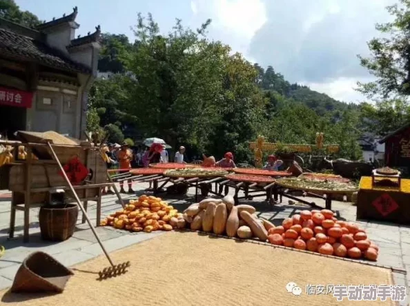 9久9久女女热精品视频免费观看：最新动态展示了该平台的丰富内容和用户互动，吸引了大量观众关注与参与