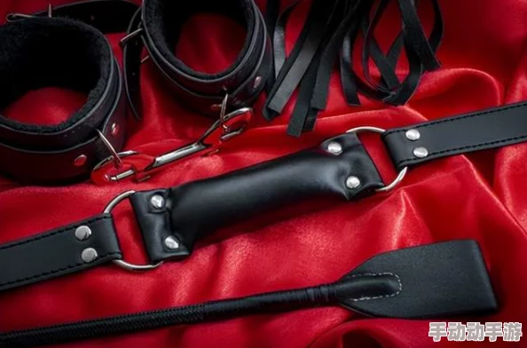 在权力与欲望的交织中：主人严厉总裁与贱受之间的禁忌BDSM游戏探秘