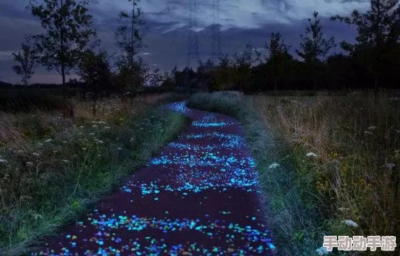 光明勇士夜光花获取攻略：全面解析夜光花的获得方法与途径