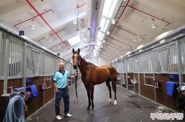 《明日之后》游戏中马匹获取全攻略及养殖方法详细介绍