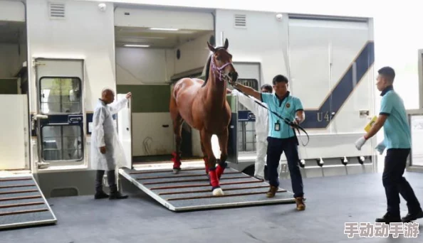 《明日之后》游戏中马匹获取全攻略及养殖方法详细介绍