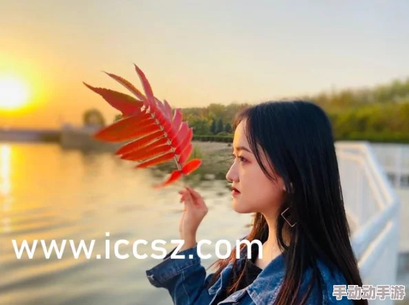 17cc网黑料爆料一区二区三区：最新动态曝光，深度解析网络黑料背后的真相与影响