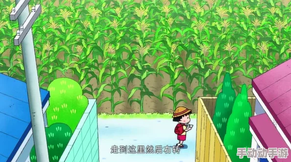 在玉米地的刮伦中，寻找失落的乡愁与青春的秘密：一段关于爱与成长的故事