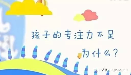 仙女棒坐姿使用的好处是什么？提升舒适度与专注力，助你更高效地完成工作和学习任务