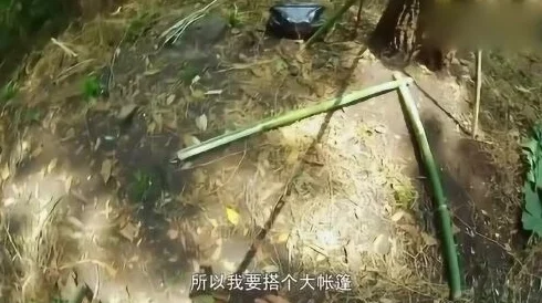 单挑荒野手游：菲律宾海岛生存指南，竹林陷阱高效布置技巧揭秘