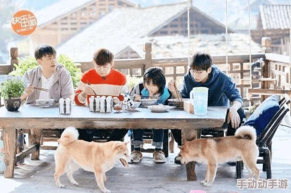 希岛爱理作品番号最新动态：新作发布引发热议，粉丝期待更多精彩内容与创作方向的变化