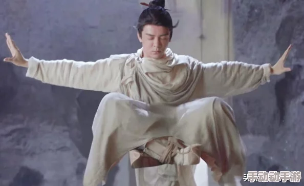 九阴争荃：武林高手齐聚，江湖风云再起，谁能夺得绝世秘籍？