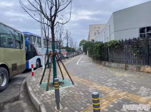 国产禁女女网站免费看：最新动态显示该平台正在进行内容更新，用户体验和安全性不断提升