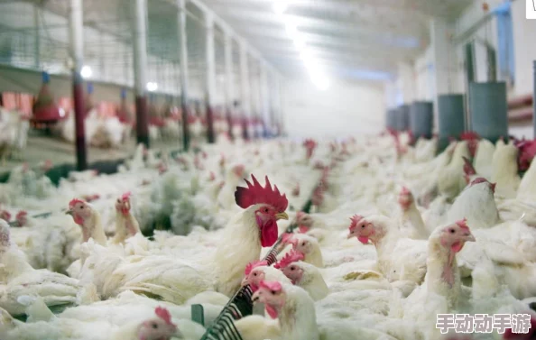 国产禁女女网站免费看：最新动态显示该平台正在进行内容更新，用户体验和安全性不断提升