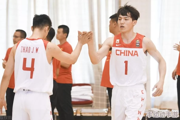 4虎突然不能用了2024，震惊全网用户，经济影响深远引发行业大规模变革！