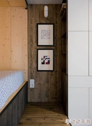 宿舍里的秘密：如何在有限空间中创造浪漫与亲密的独特体验