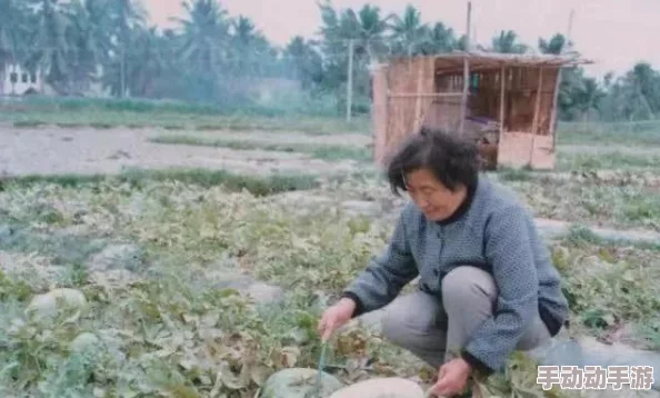 91吃瓜：最新动态曝光，网友热议事件背后的真相与影响，引发广泛关注和讨论！