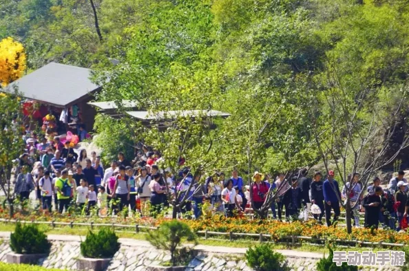 天天草夜夜爽:最新动态揭示了这一现象背后的文化影响与社会反响,引发广泛讨论与关注 天天草夜夜爽:最新动态揭示了这一现象背后的文化影响与社会反响,引发广泛讨论与关注