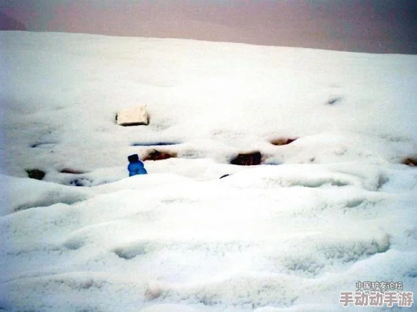 一小孩儿半夜给女生吃困吧，背后隐藏的心理因素与儿童行为研究分析