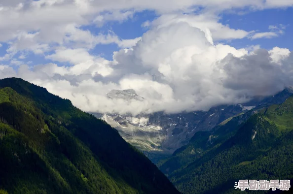 刀塔自走棋新手必备：全面解析冰川骑士流策略与玩法攻略