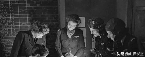 女神保卫战：新手攻略！最强阵容选择技巧与搭配策略解析