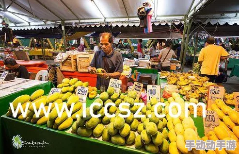 992人人tv香蕉国产精品：最新动态揭示平台内容更新与用户互动新趋势，吸引更多观众关注与参与