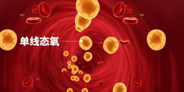 XXXXXL19D：全新升级版发布，带来更强性能与创新功能，引领行业潮流的最新动态解析