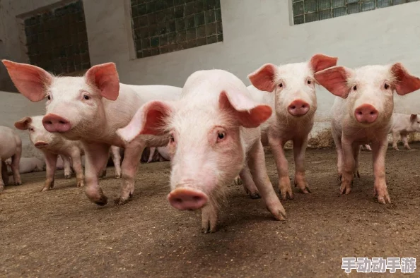 兽：全球首个基因编辑宠物问世，科学家称其将改变人类与动物的关系！