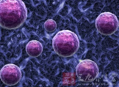 hpv1627.8：全球新研究揭示HPV病毒与多种癌症之间的惊人关联，致命性再一次引发热议！