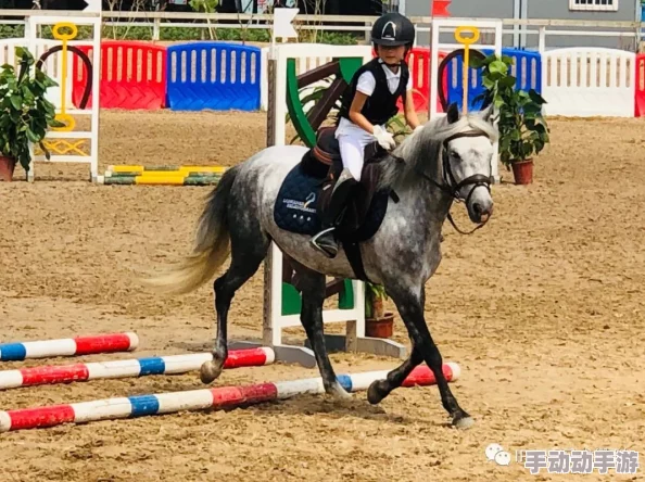 人马配速30分钟,挑战极限!运动员与骏马携手创造历史新纪录,引发全城热议! 人马配速30分钟,挑战极限!运动员与骏马携手创造历史新纪录,引发全城热议!